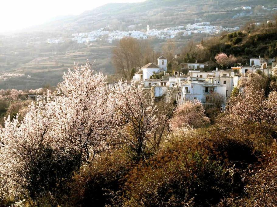 Vila Casa Carmela, Rural House With Spectacular Views, In An Exquisite Area Atalbeitar Exteriér fotografie