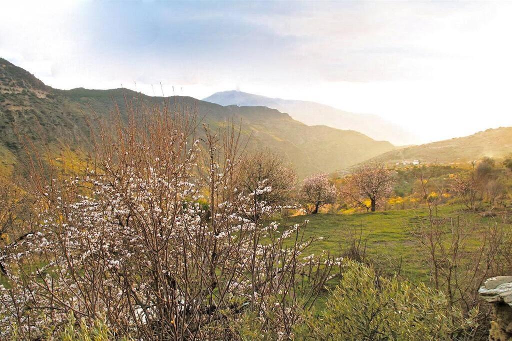 Vila Casa Carmela, Rural House With Spectacular Views, In An Exquisite Area Atalbeitar Exteriér fotografie