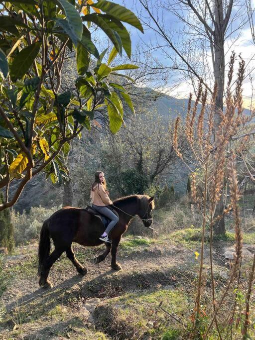 Vila Casa Carmela, Rural House With Spectacular Views, In An Exquisite Area Atalbeitar Exteriér fotografie